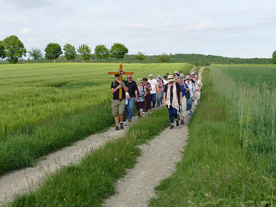 Baunataler Wallfahrt zur Naumburger Fatima Grotte (Foto: Karl-Franz Thiede)